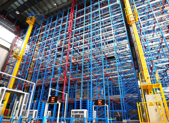Pallet Shuttle ASRS with Stacker Crane 2026072001 e1785432290878