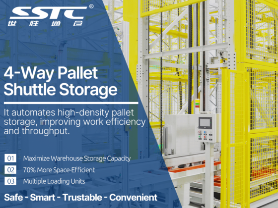 Four-Way Pallet Shuttle Storage Solution for Cold Storage at Qingdao Techain with approximately 100000 pallet positions